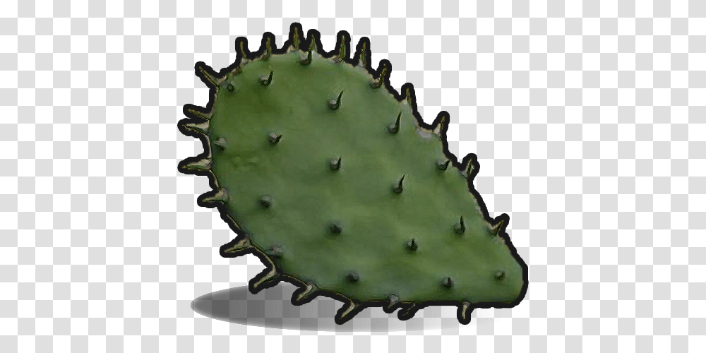 Cactus Flesh Rust Cactus, Plant, Honey Bee, Insect, Invertebrate Transparent Png