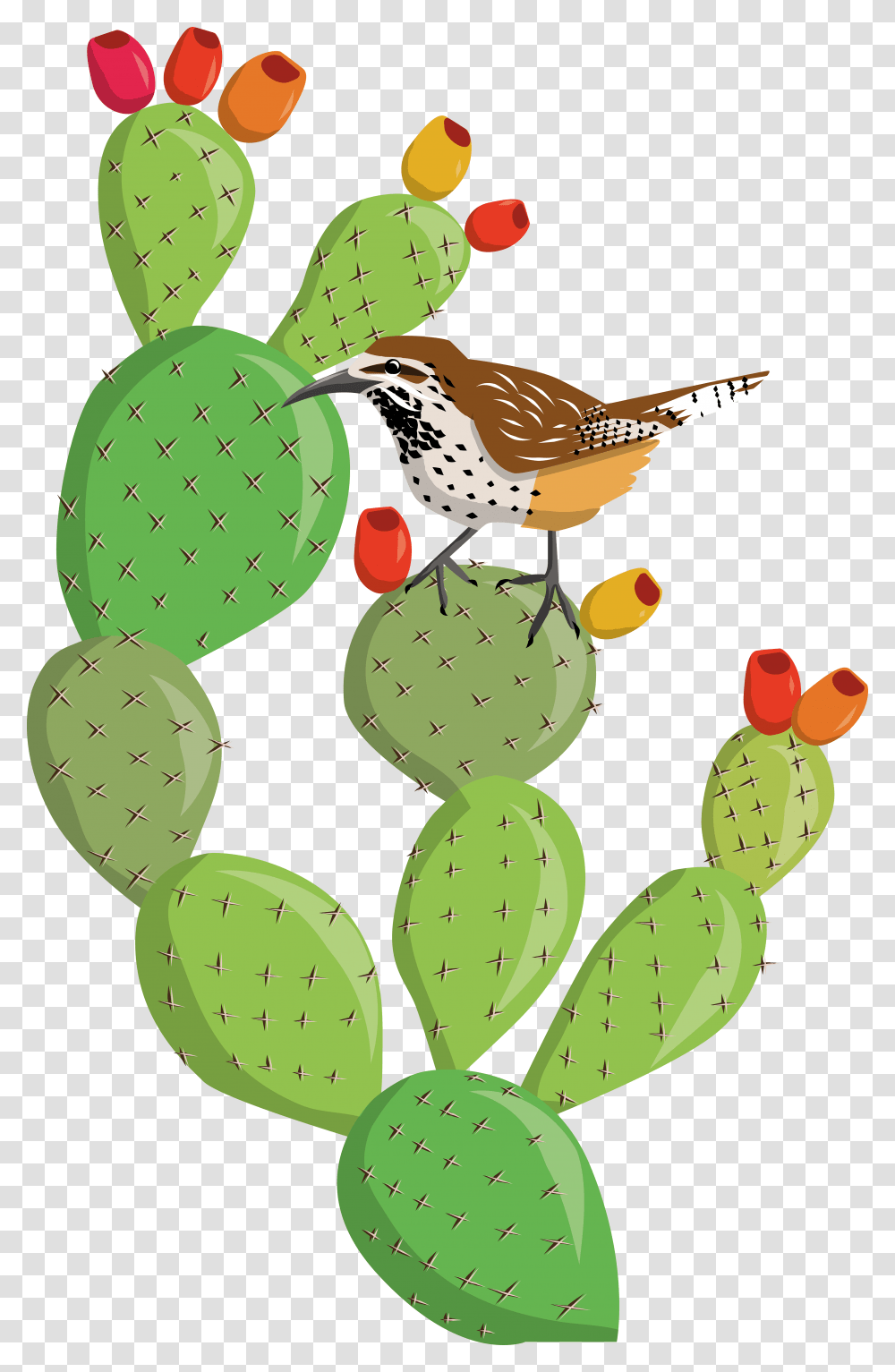 Cactus Flower Clipart Prickly Pear Cactus Clipart, Plant, Bird, Animal, Wren Transparent Png