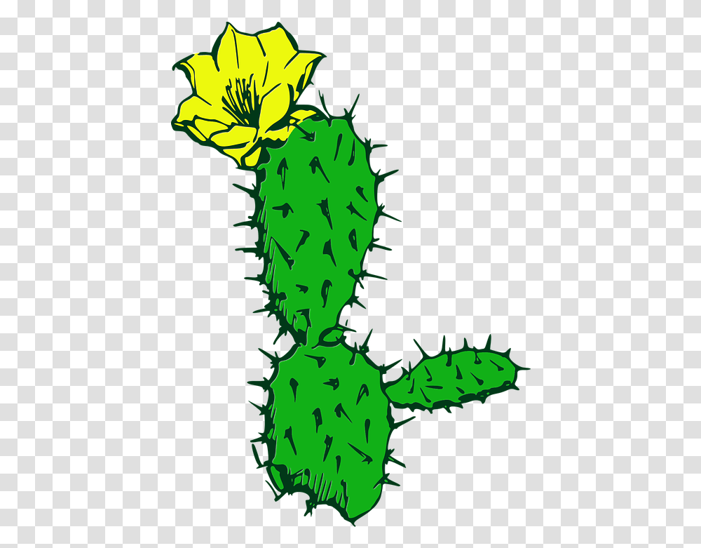 Cactus Flower Desert Free Vector Graphic On Pixabay Cartoon Cactus Flower, Plant Transparent Png