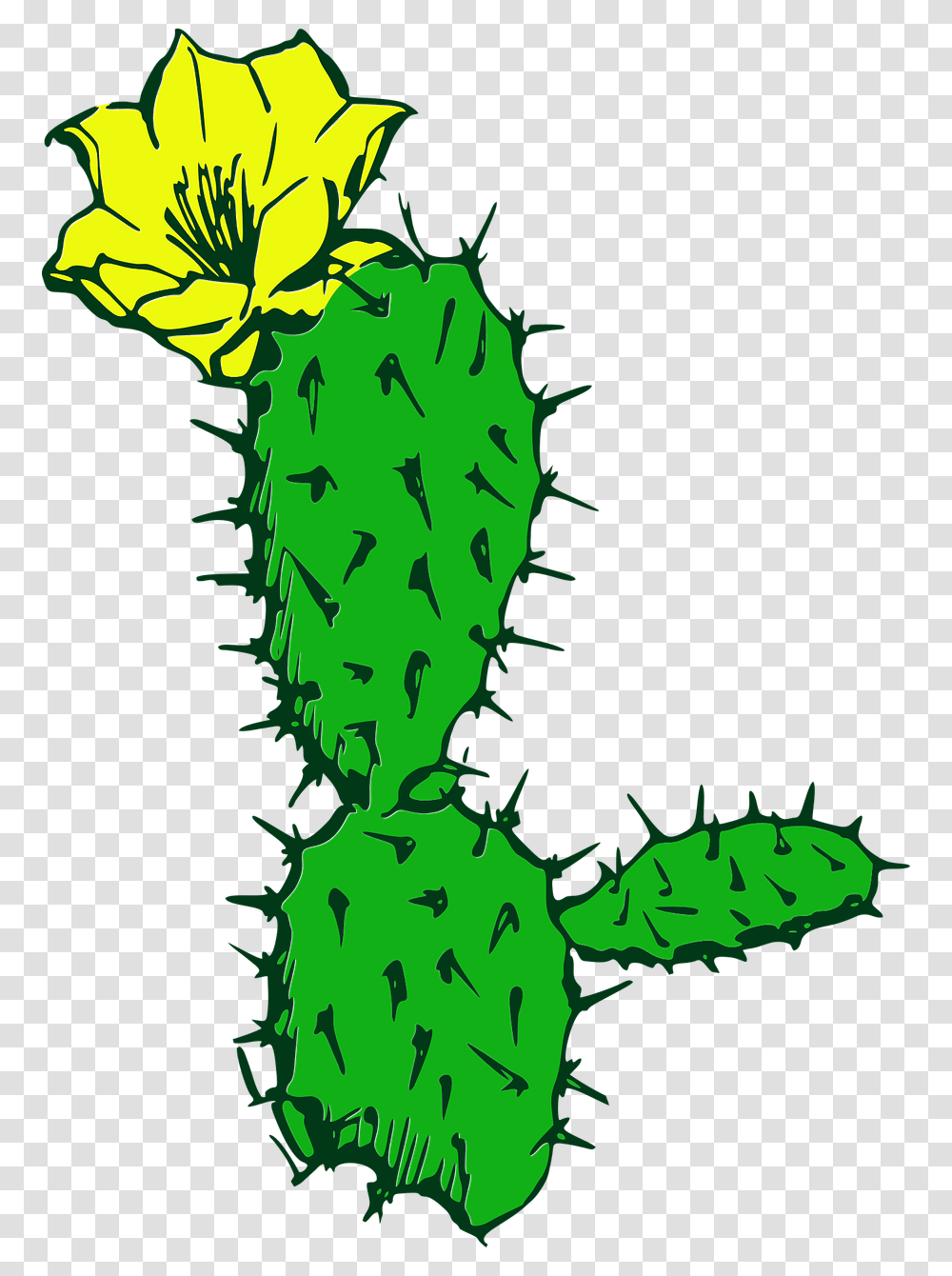Cactus Flower Desert Plant Succulent Cacti Cactus, Person, Human Transparent Png