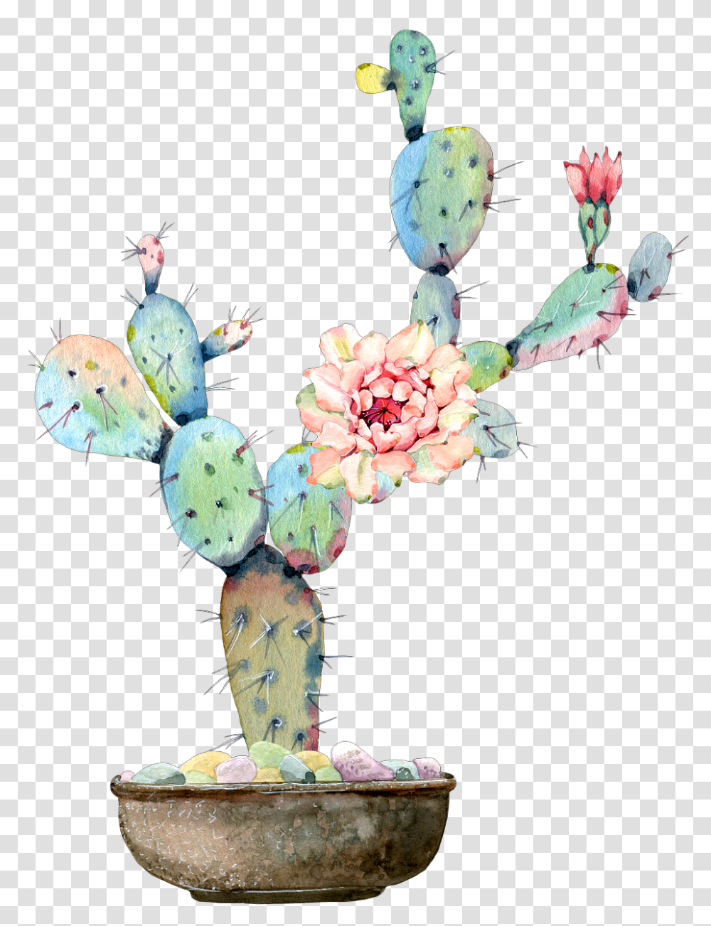 Cactus Flower Watercolor Art Desert Cactus And Flowers Water Color, Plant Transparent Png