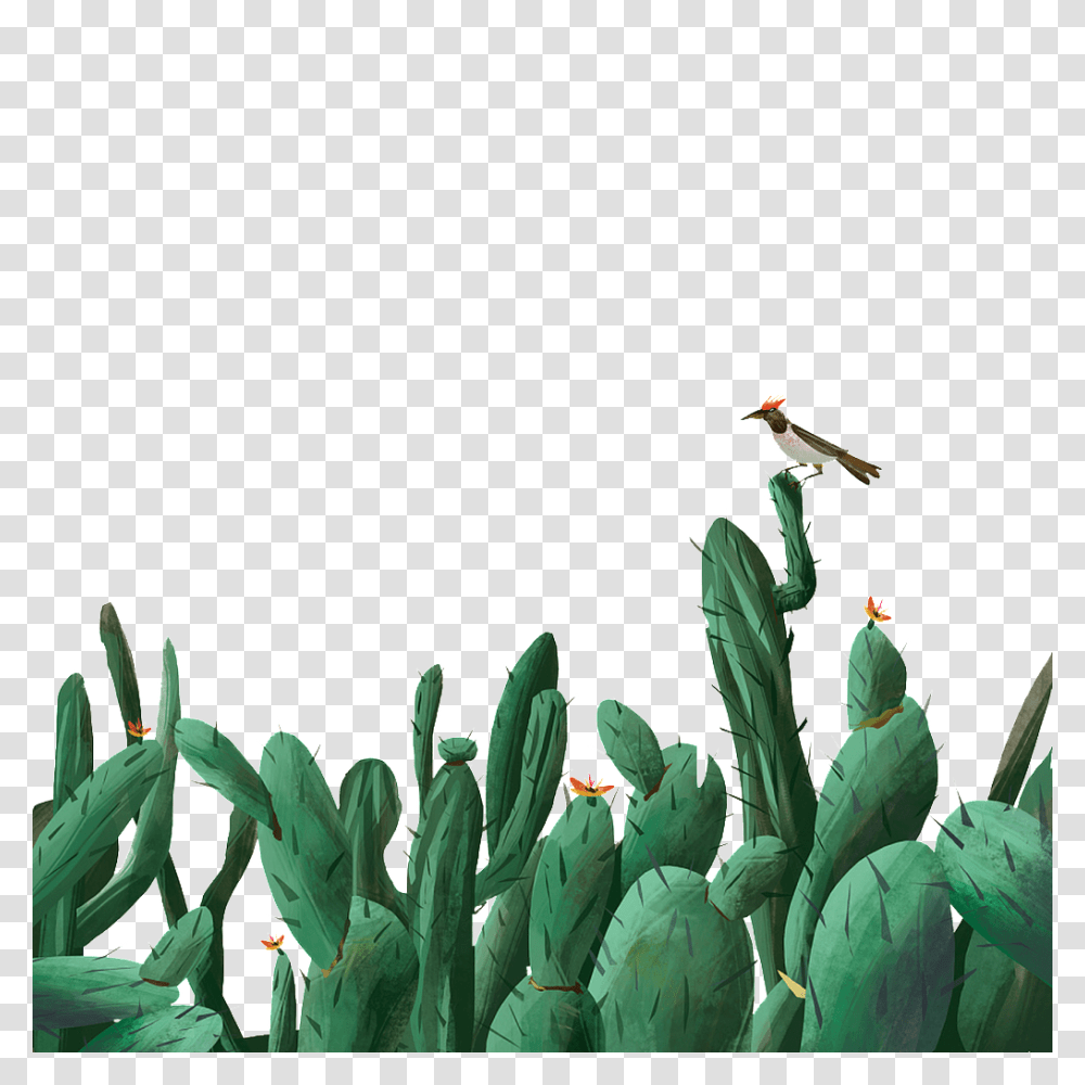 Cactus Free Download Vector, Plant Transparent Png