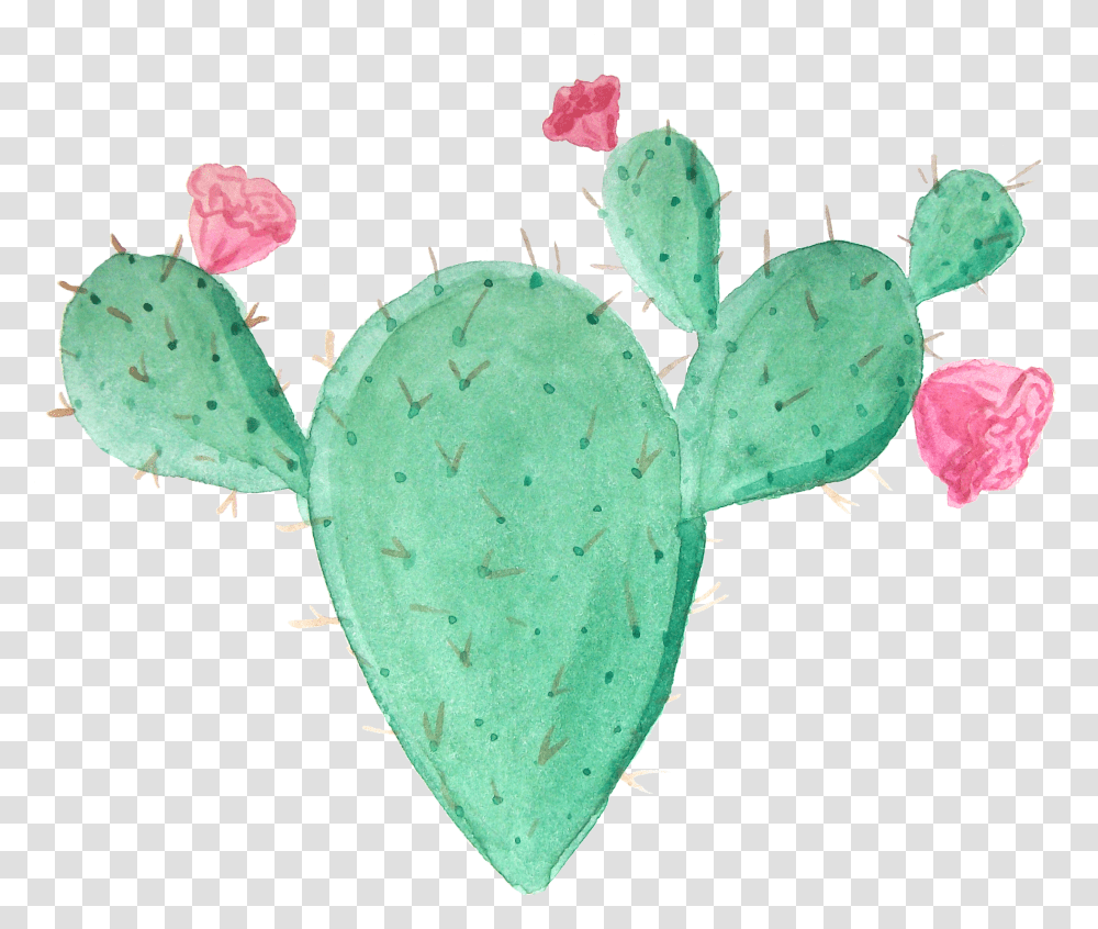Cactus Ftestickers Cactus Transparent Png