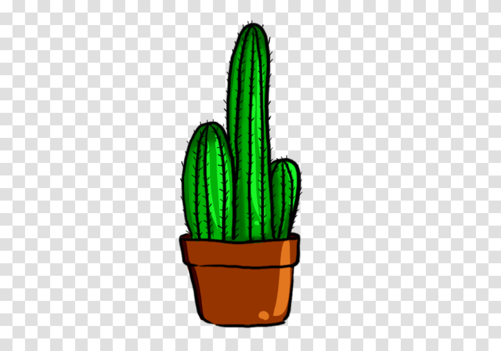 Cactus Green Plant And For Free Download Transparent Png