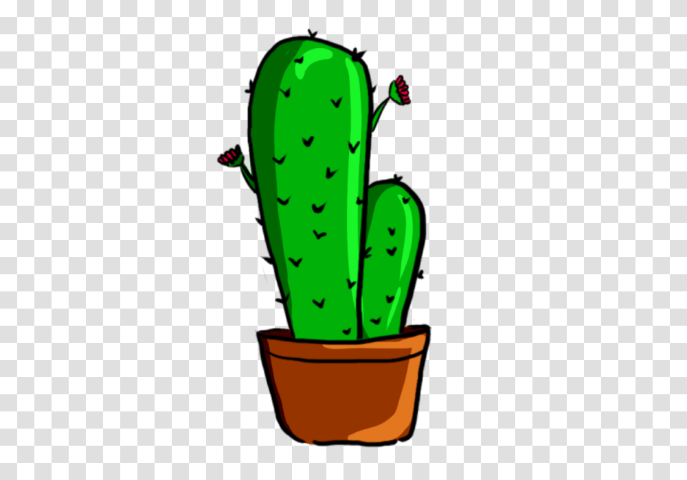 Cactus Green Plant And For Free Download Transparent Png