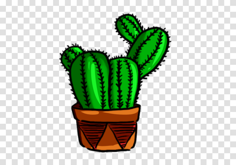 Cactus Green Plant And For Free Download Transparent Png