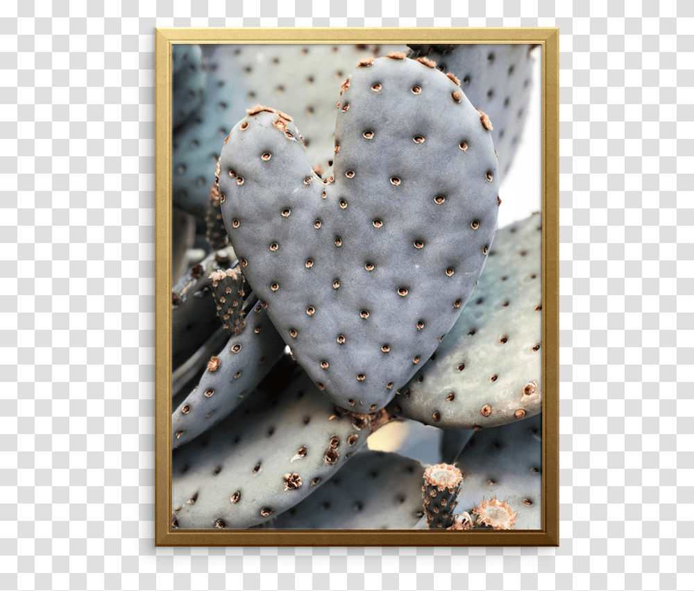 Cactus Hearts Art Print Barbary Fig, Plant Transparent Png