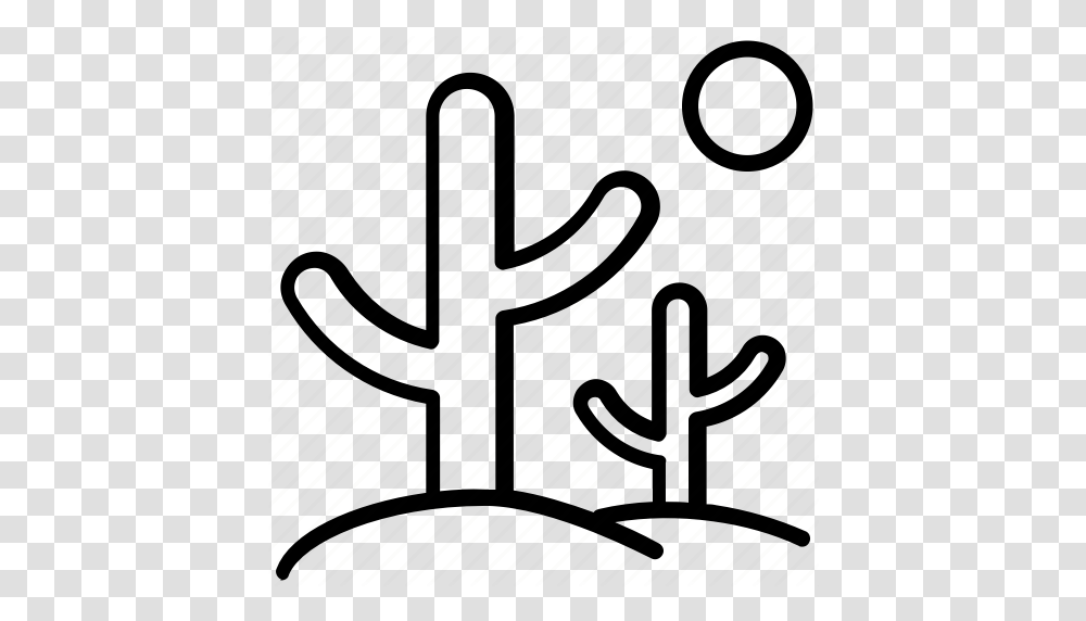 Cactus House Plant Natural Plant Succulent Icon, Hook, Piano, Leisure Activities, Musical Instrument Transparent Png