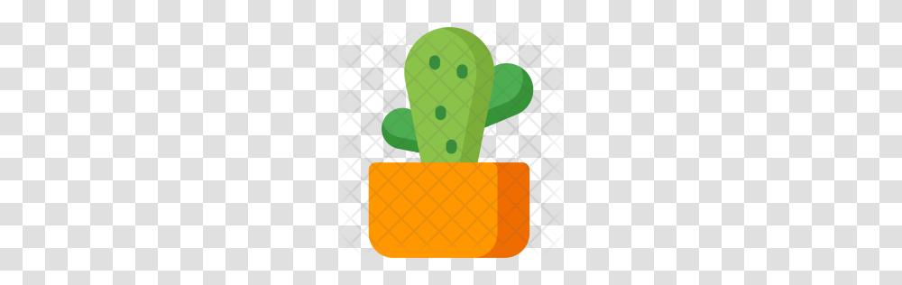 Cactus Icon, Plant, Food, Fruit, Toy Transparent Png