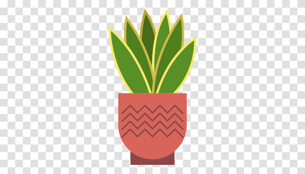 Cactus Icon, Plant, Leaf, Tree, Palm Tree Transparent Png