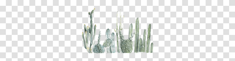 Cactus Images Cactus Print, Plant, Gate, Chandelier, Lamp Transparent Png