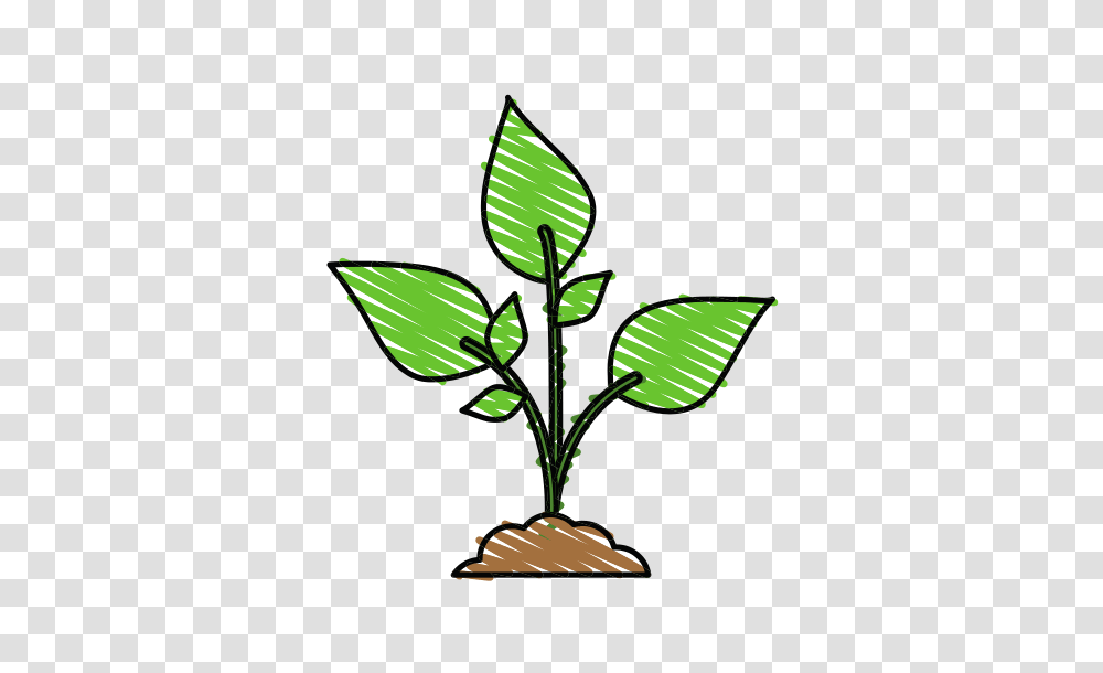 Cactus In Pot Plants Clip Art, Leaf, Green, Lamp, Tree Transparent Png