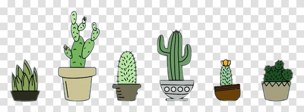Cactus Laptop Backgrounds, Plant Transparent Png