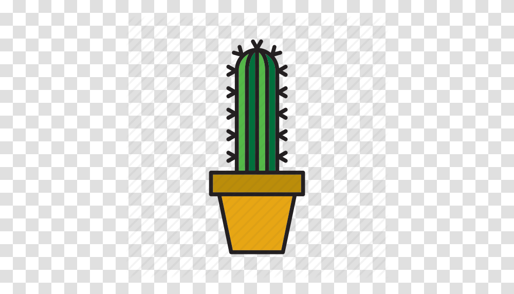 Cactus, Light, Torch Transparent Png