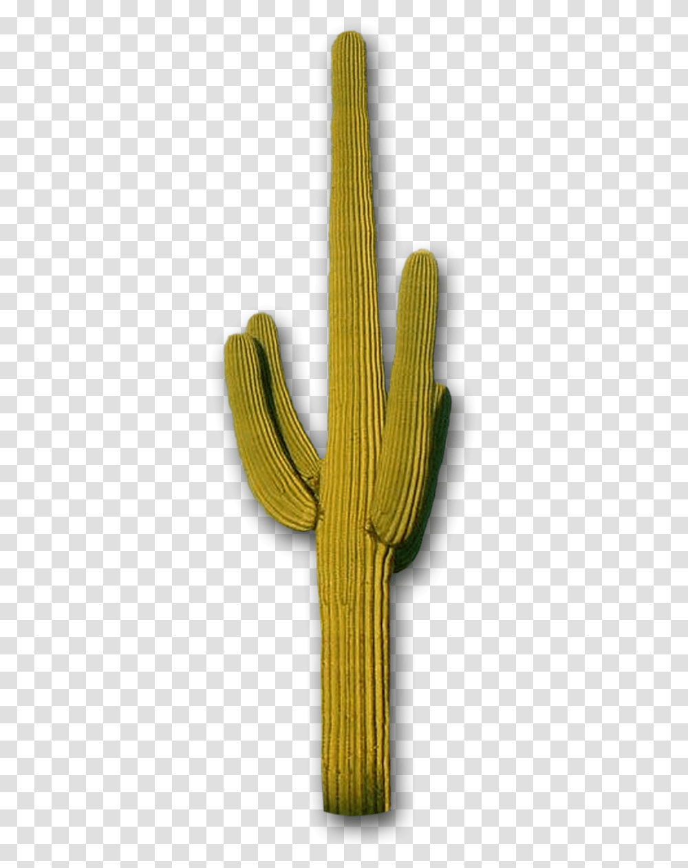 Cactus Mountains The Distance Steve Lovelace Saguaro Cactus, Plant, Sword, Blade, Weapon Transparent Png