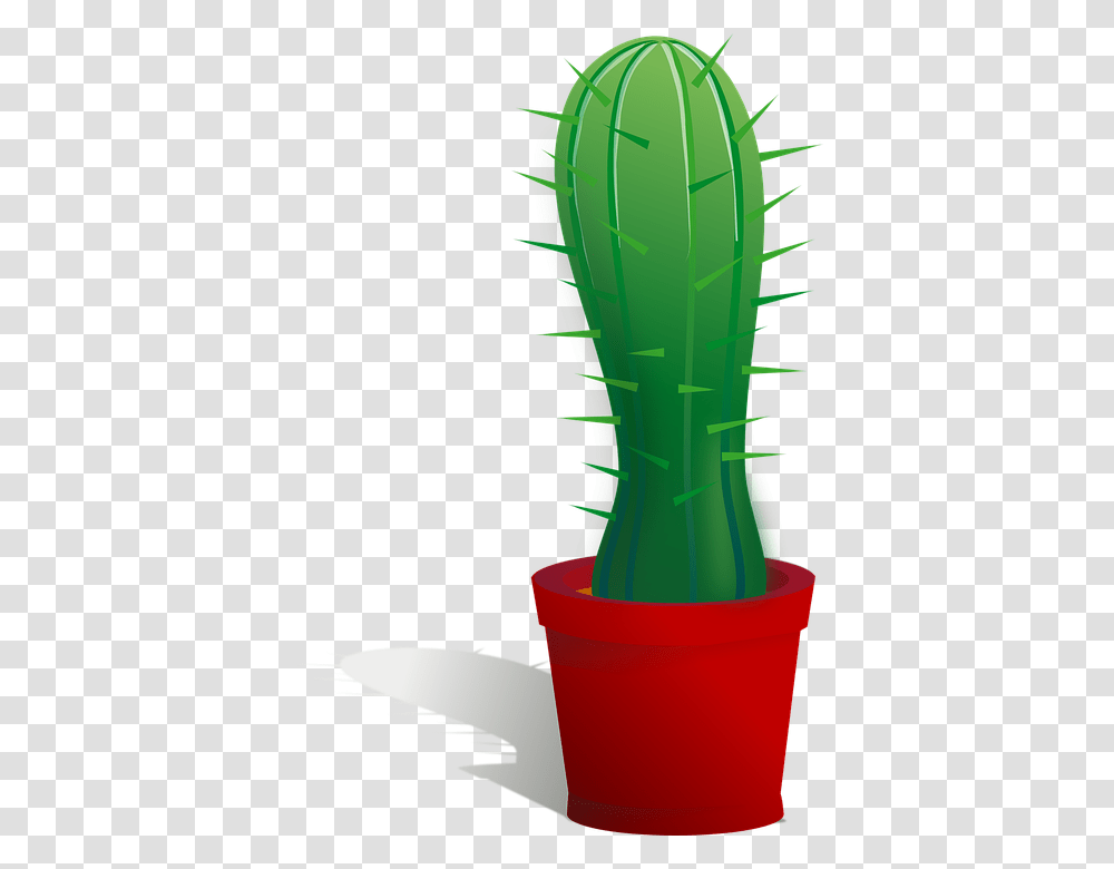 Cactus, Nature, Plant, Bucket, Animal Transparent Png