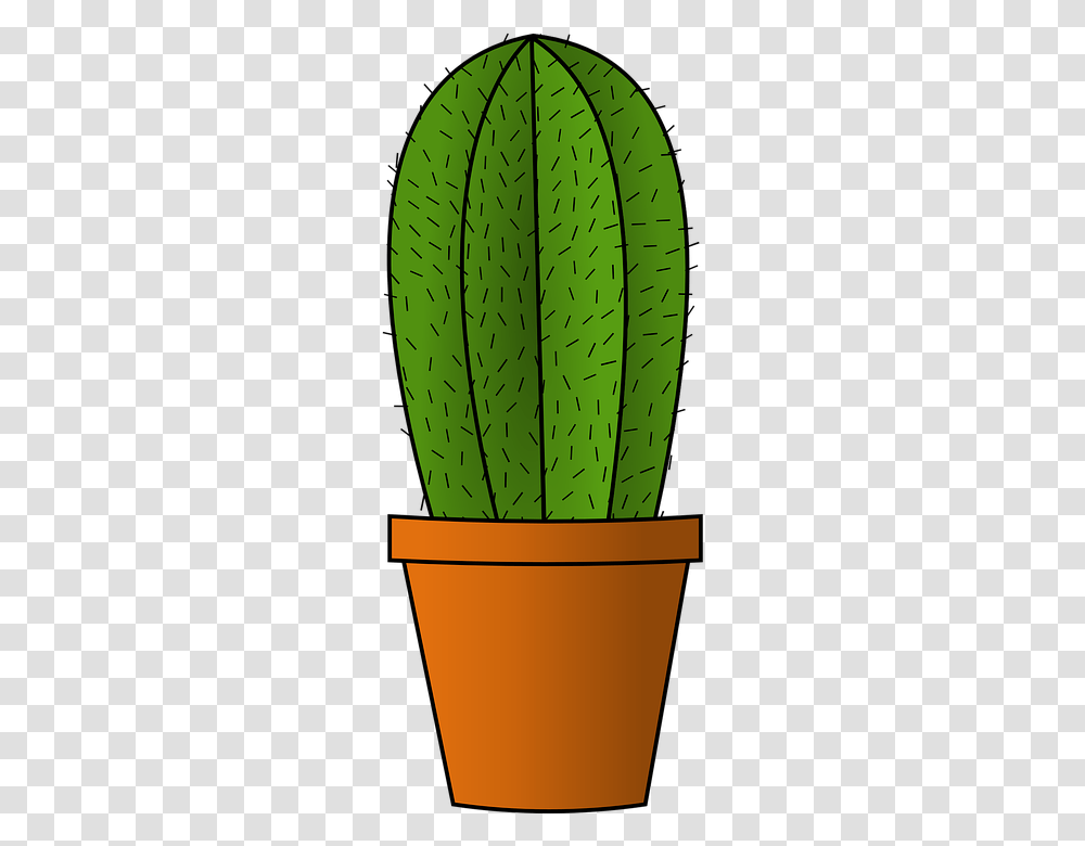 Cactus, Nature, Plant, Leaf, Clock Tower Transparent Png