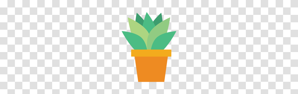 Cactus Or To Download, Paper, Cone Transparent Png