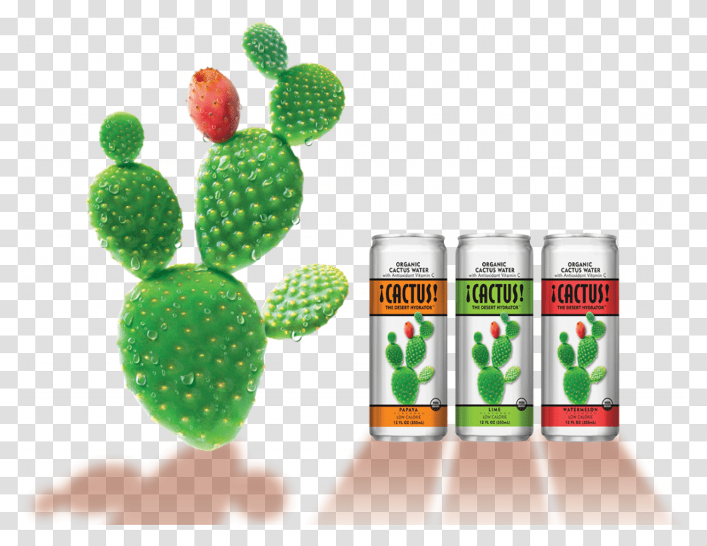 Cactus Organic Water Nopal, Plant, Beer, Alcohol, Beverage Transparent Png