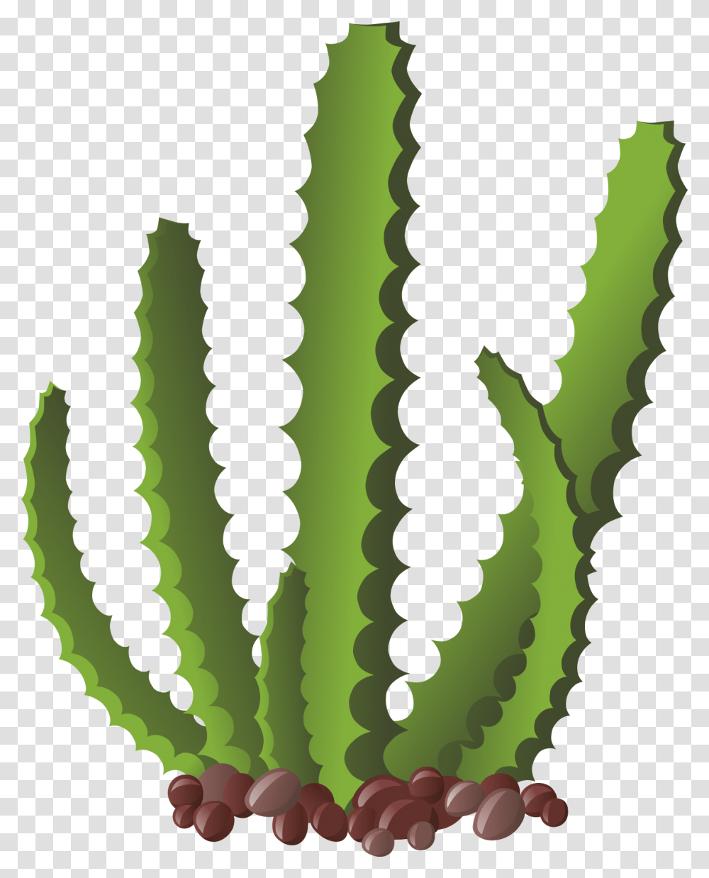 Cactus Pintado, Aloe, Plant, Green, Leaf Transparent Png