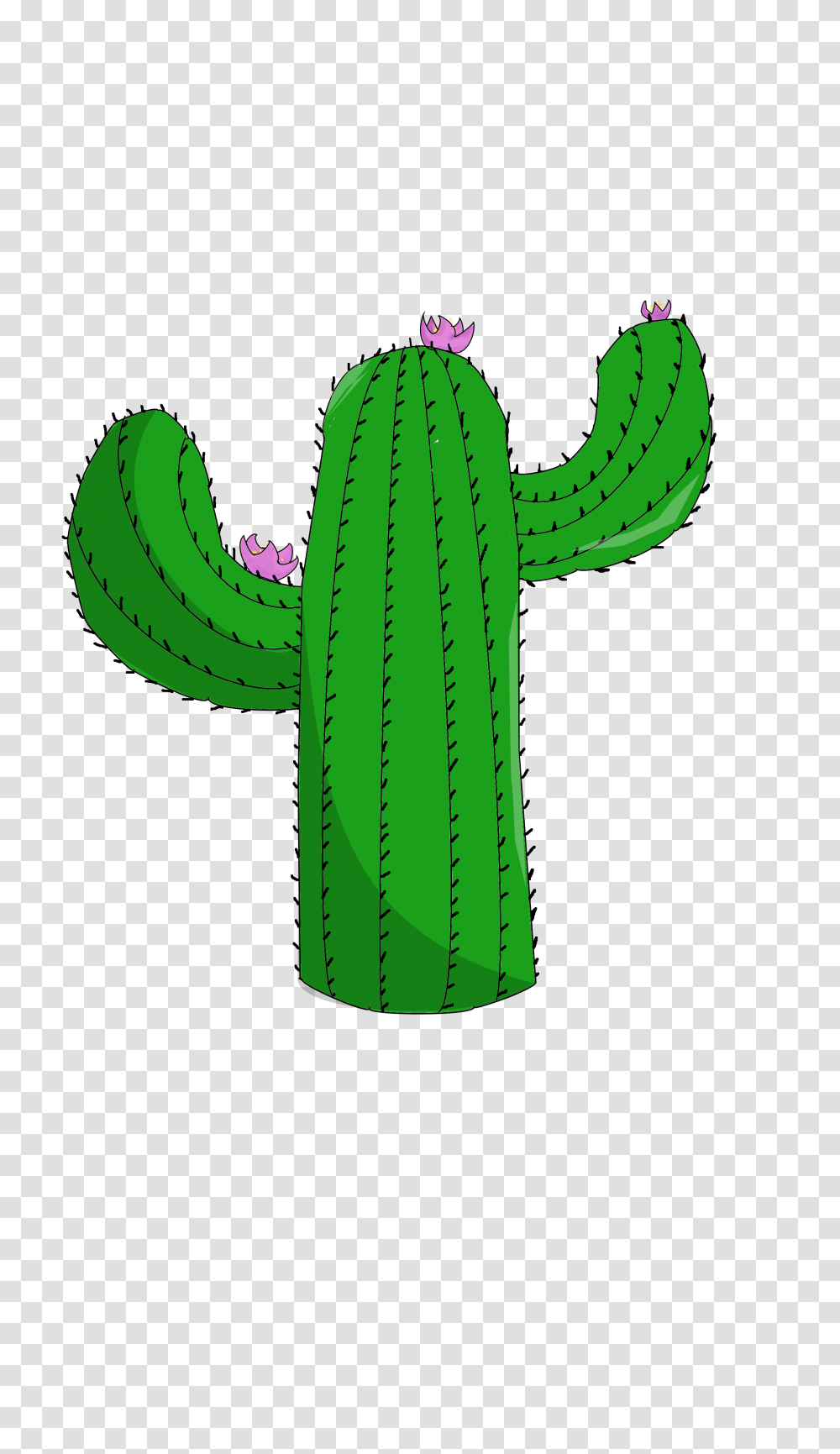 Cactus, Plant, Banana, Fruit, Food Transparent Png