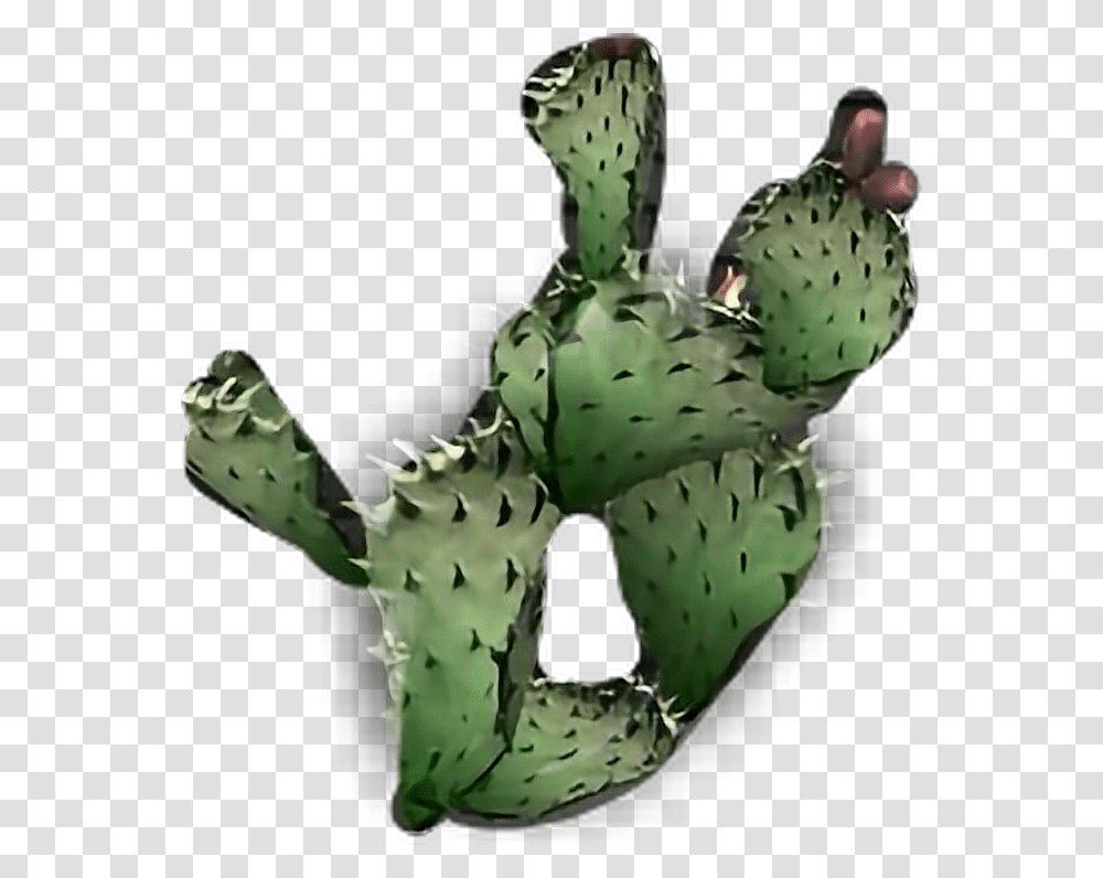 Cactus Plant Eastern Prickly Pear, Aloe, Artichoke, Produce, Vegetable Transparent Png