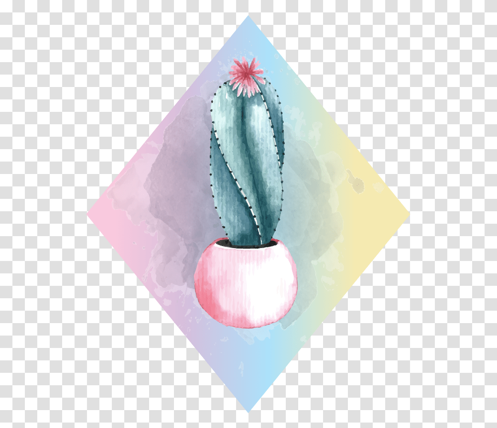 Cactus, Plant, Flower, Blossom Transparent Png