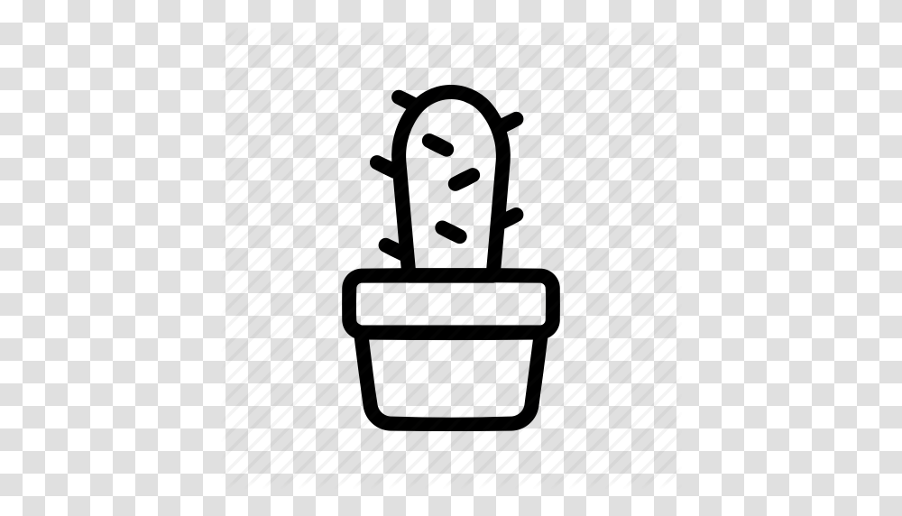 Cactus Plant Pot Succulent Icon, Bucket Transparent Png