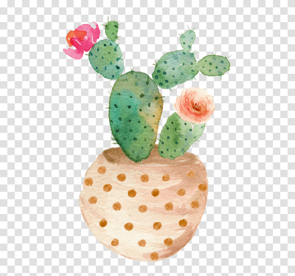 Cactus, Plant, Rug, Rose, Flower Transparent Png