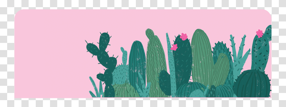 Cactus, Plant Transparent Png