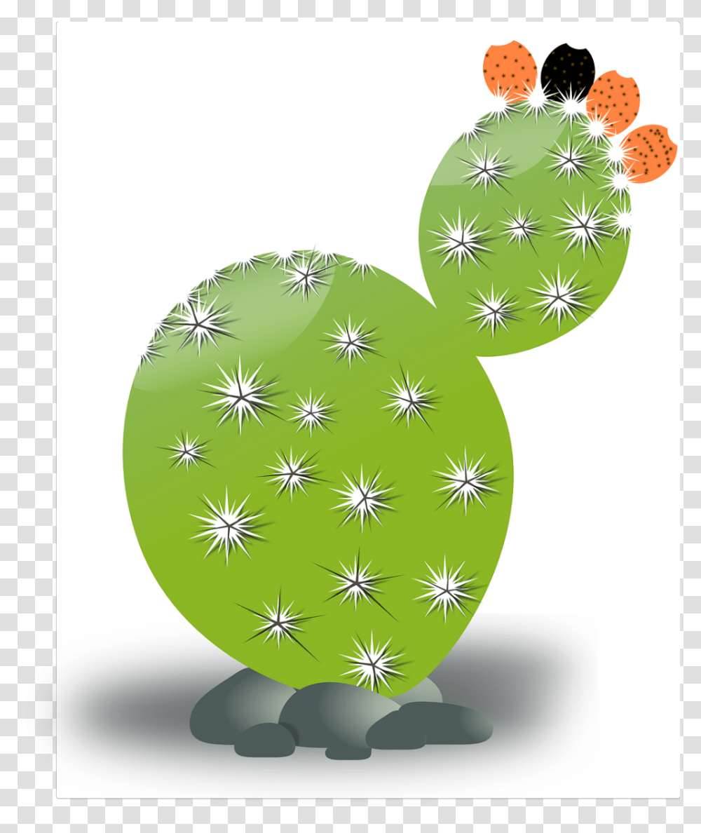 Cactus, Plant, Tree, Sphere Transparent Png