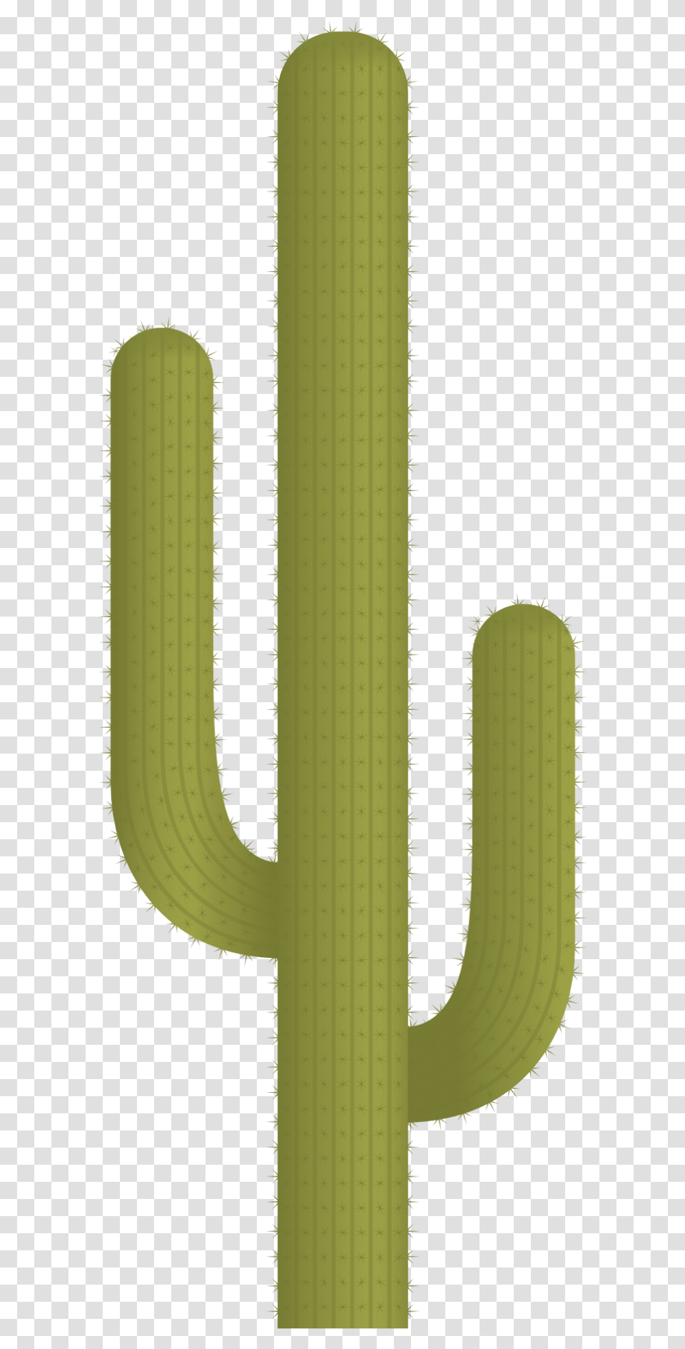 Cactus Plant Vector Clipart Plant Vector Cactus Transparent Png