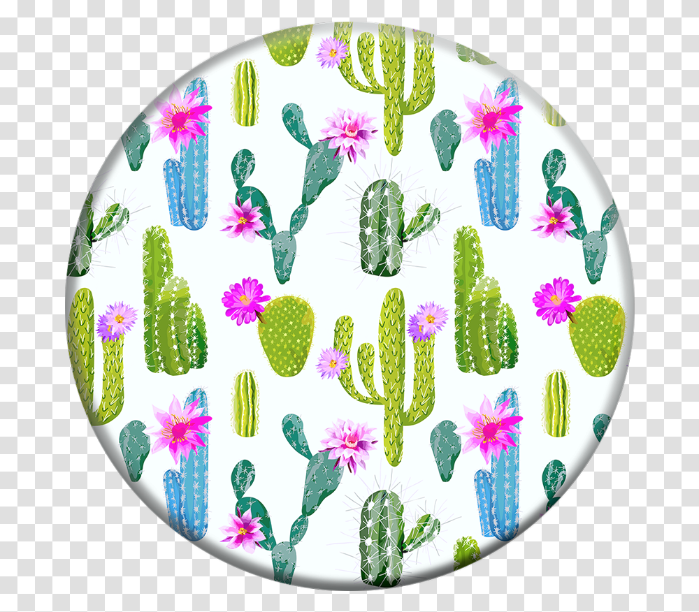 Cactus Popsocket Image With No Popsocket, Plant, Birthday Cake, Dessert, Food Transparent Png