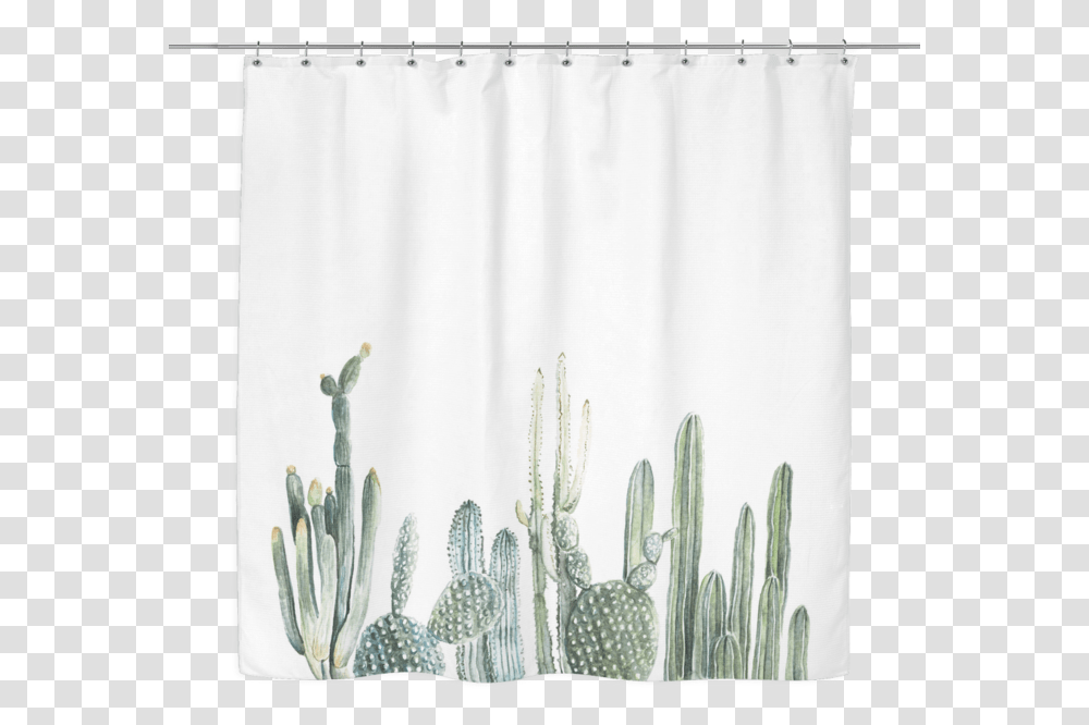 Cactus Puns Looking Sharp, Shower Curtain, Plant, Rug Transparent Png