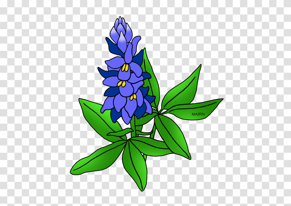 Cactus Ranch Library Bluebonnet Breakfast This Friday January, Floral Design, Pattern Transparent Png
