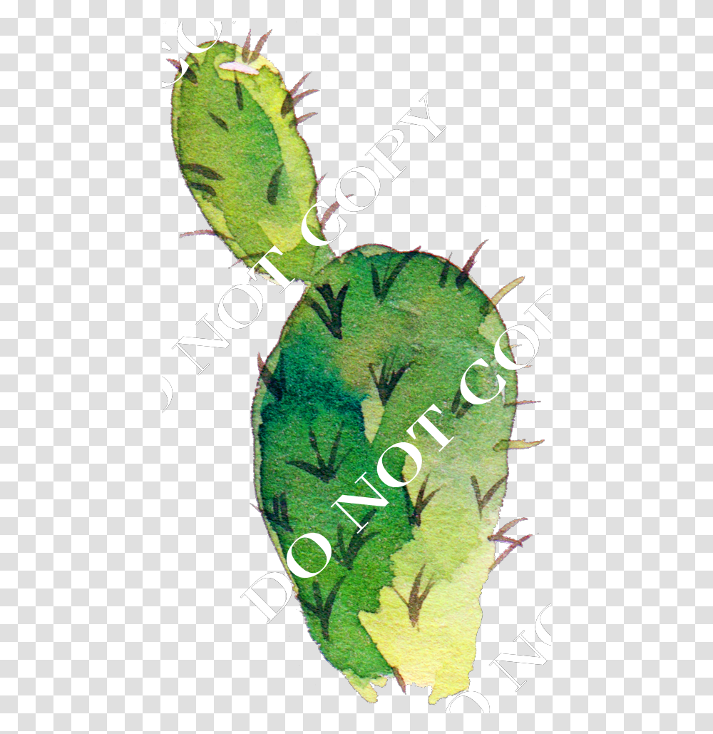 Cactus Silhouette Illustration, Plant, Animal, Reptile, Poster Transparent Png