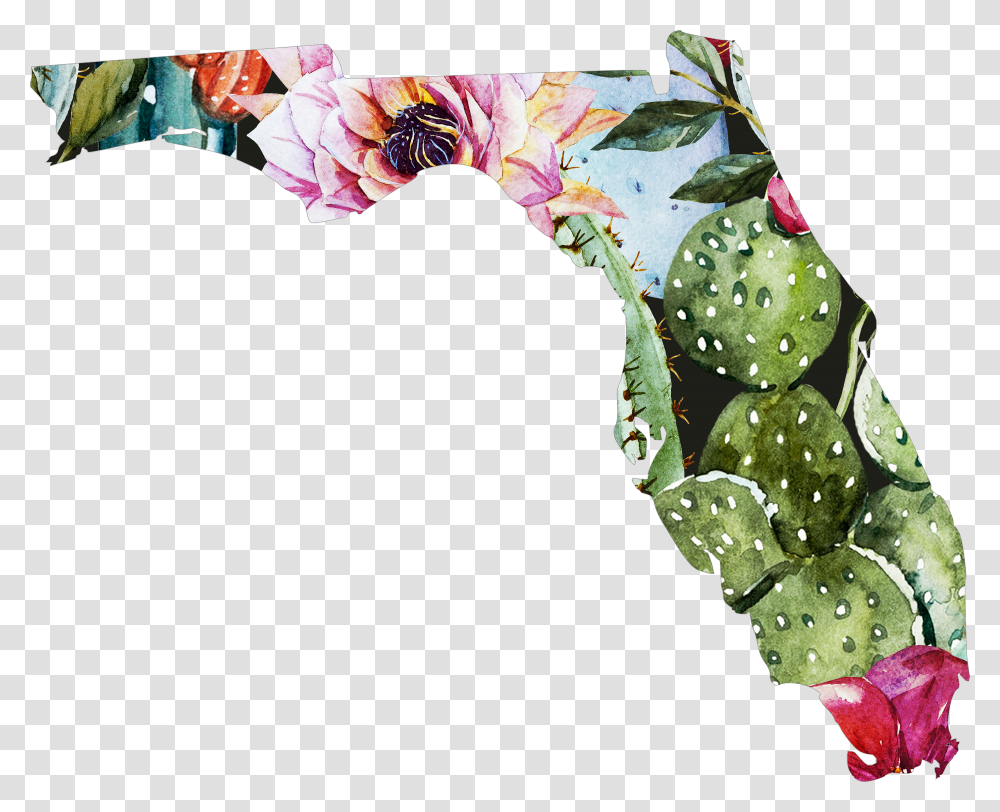 Cactus State Florida Download Transparent Png