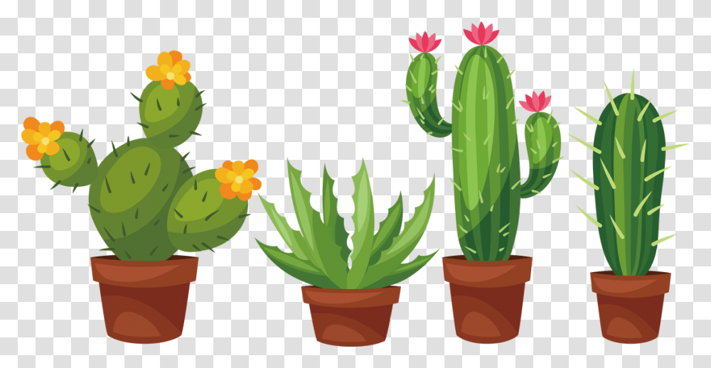 Cactus Succulent Plant Cactaceae Prickly Pear Clip Cactus Drawing With Flower, Leaf Transparent Png