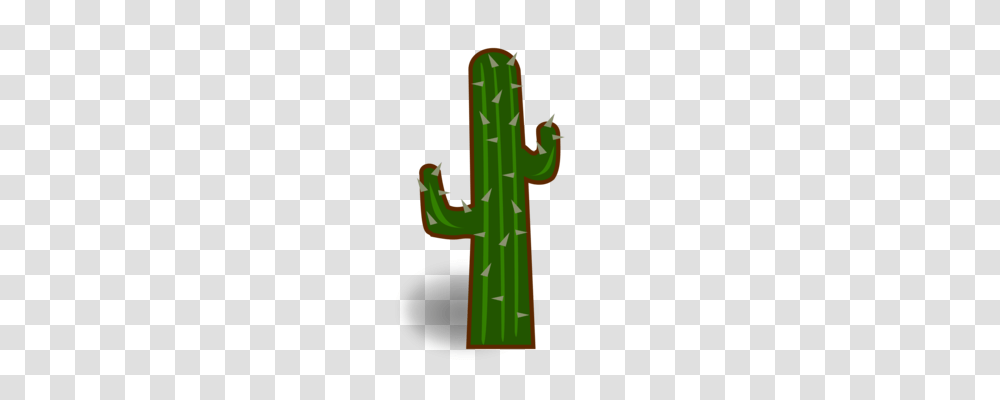 Cactus Succulent Plant Saguaro Schlumbergera Drawing Free, Cross Transparent Png