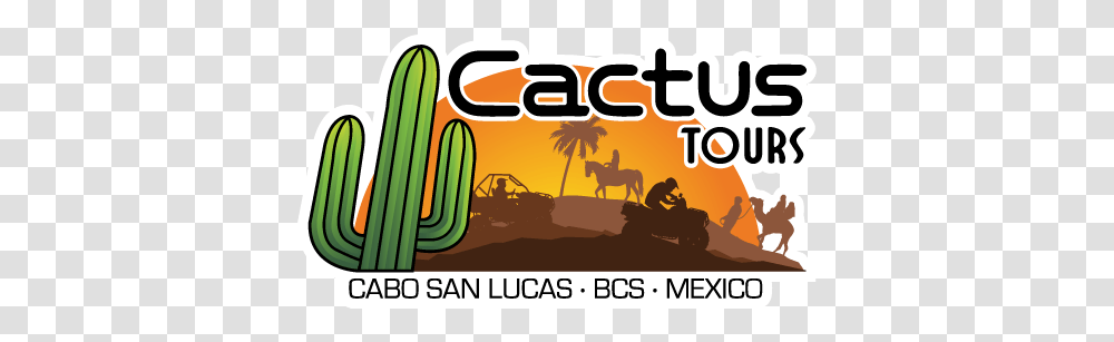 Cactus Tours Cactus Atv, Outdoors, Person, Horse, Mammal Transparent Png