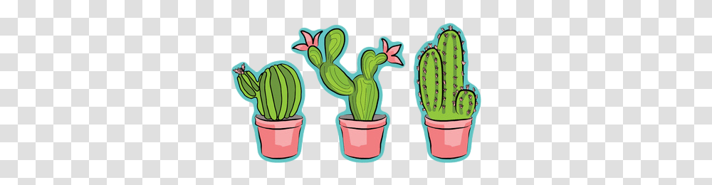 Cactus Tumblr Clipart Cactus, Plant Transparent Png