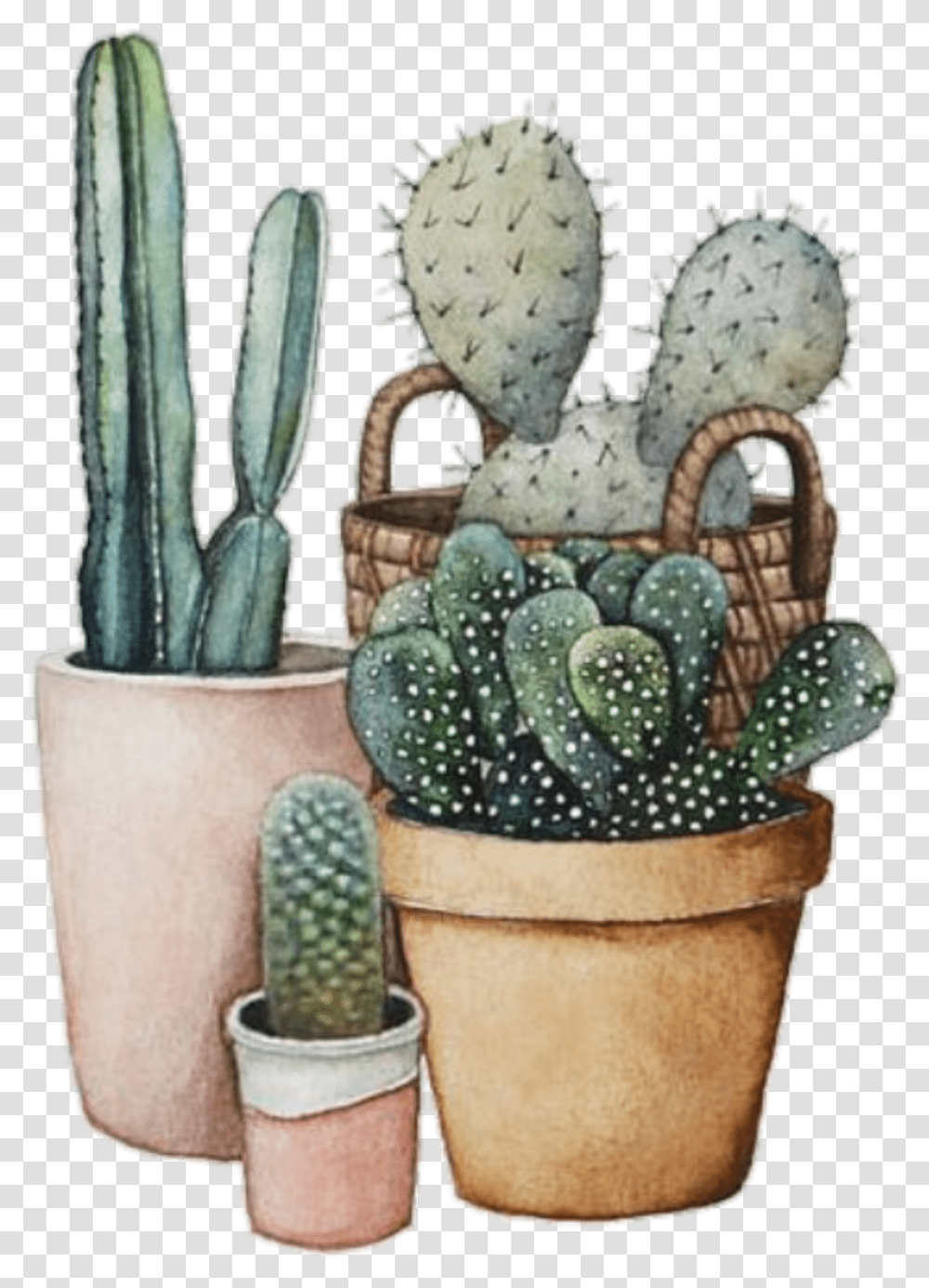 Cactus Tumblr Cool Interesting Art Nature Green Watercolor Painting, Plant, Birthday Cake, Dessert, Food Transparent Png