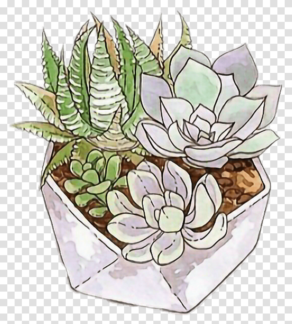 Cactus Tumblr Succulent Sticker, Plant, Pineapple, Fruit, Food Transparent Png