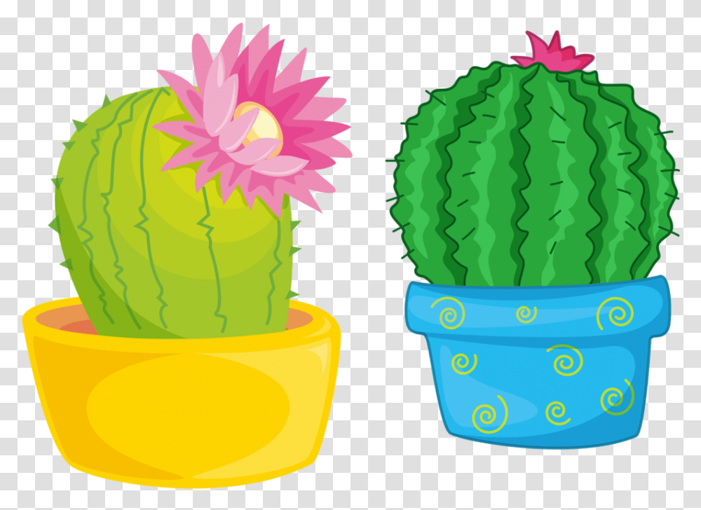 Cactus Vector Cactus Flower Clipart, Plant Transparent Png