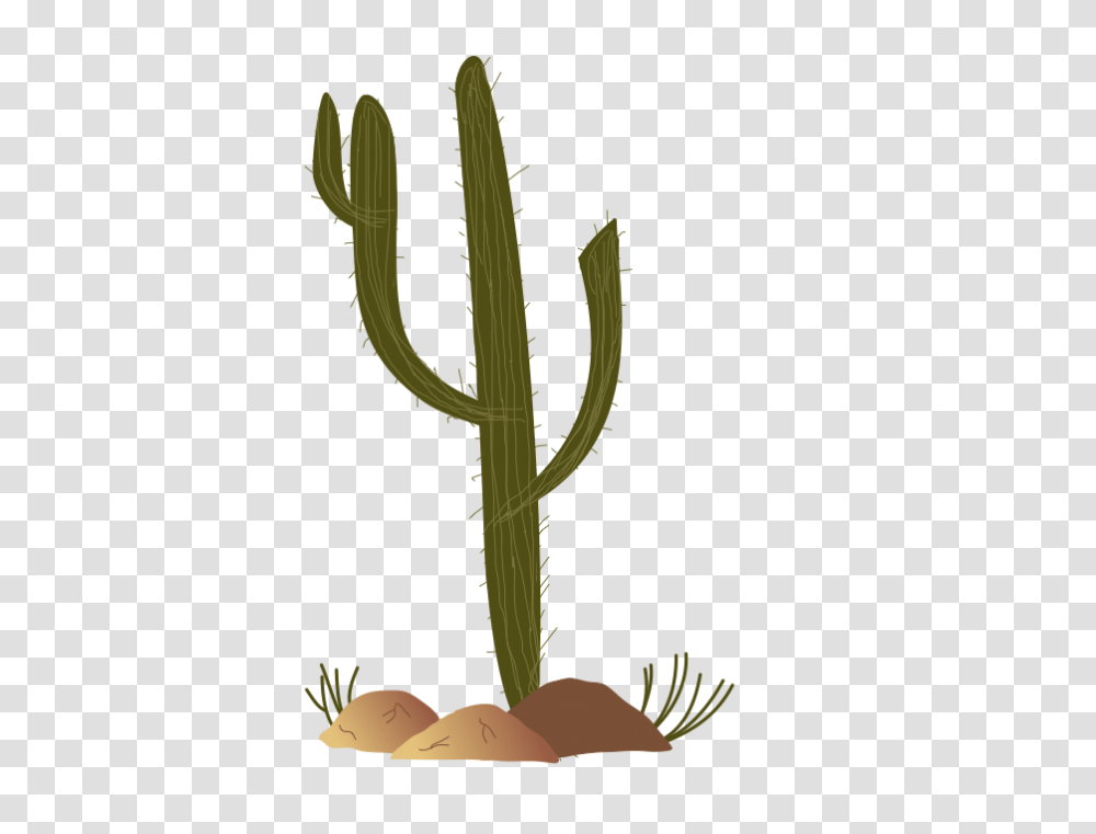 Cactus Vector Cactus With Sombrero Free Vector, Plant Transparent Png