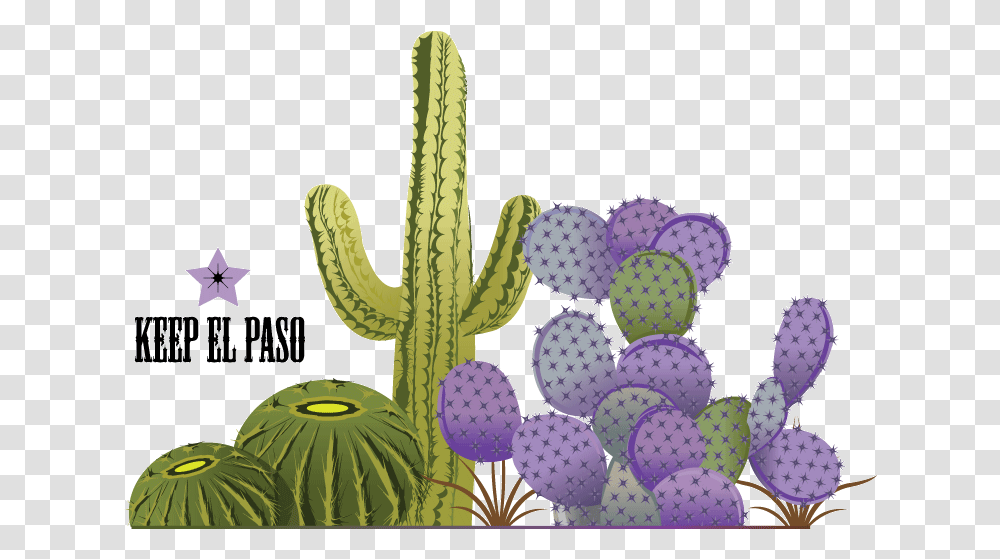 Cactus Vector Prickly Pear, Plant Transparent Png