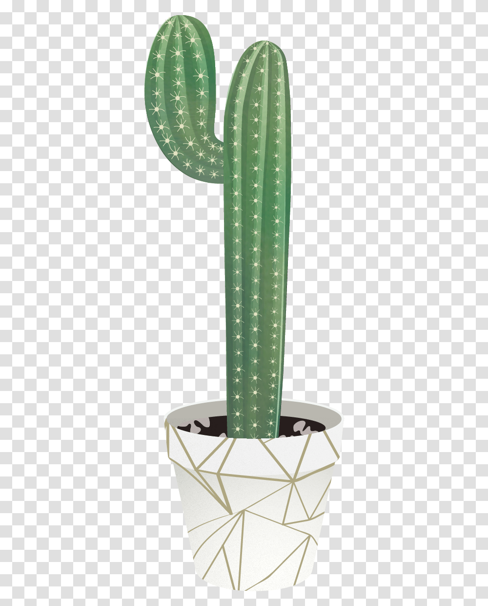 Cactus Vector San Pedro Cactus, Crystal, Golf, Sport, Sports Transparent Png