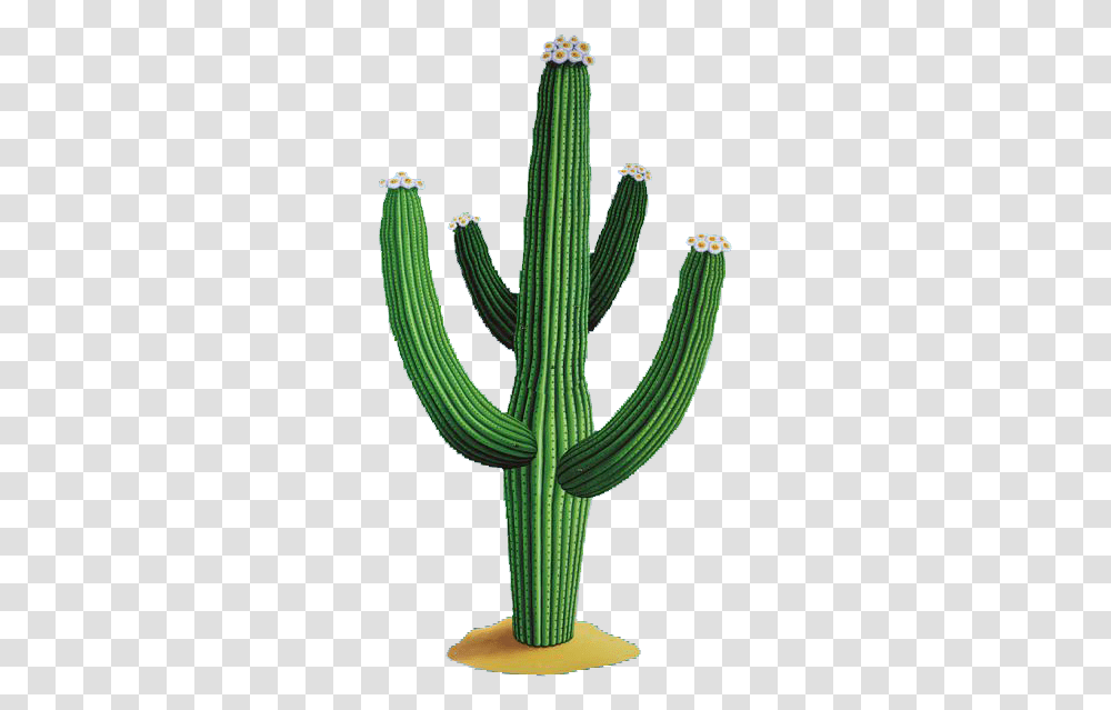 Cactus Vector & Clipart Free Download Ywd Mexican Cactus, Plant, Snake, Reptile, Animal Transparent Png