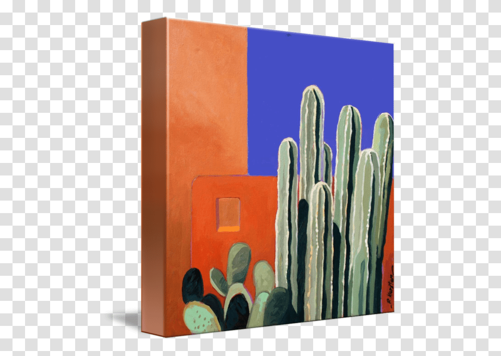 Cactus Wall, Plant Transparent Png