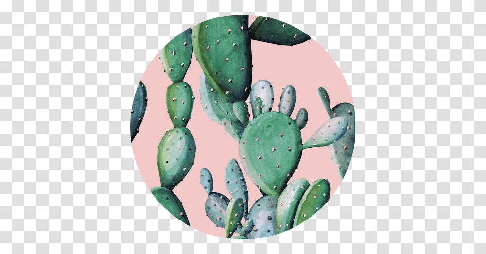 Cactus Wallpaper Watercolor, Plant Transparent Png